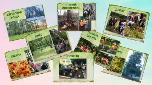 Виртуальная экологическая тропа в образовательном пространстве ДОУ