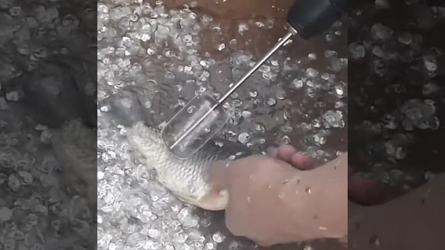 Как быстро почистить рыбу шуруповёртом от чешуи?! Лайфхаг ! А так можно было)!? смотреть онлайн