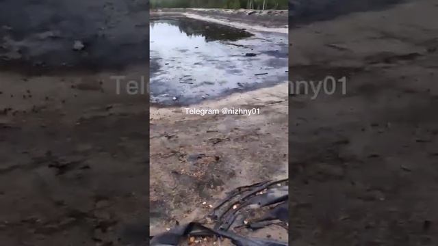 Химическая жижа в Нижегородских лесах