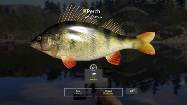 Russian Fishing 4 - Kuori Lake - Gameplay Trolling - #119 смотреть онлайн
