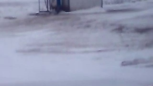 Зубовка смотреть онлайн