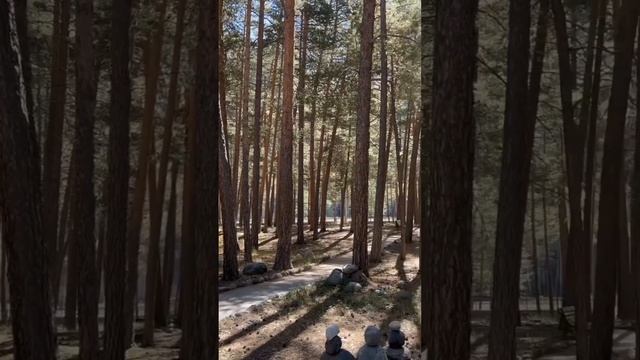 Странствие по Кавказу