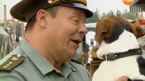 Шматко и Антанта