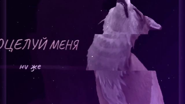 Wcmv - клеопатри