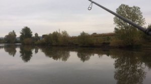 ЛОВЛЯ СУДАКА НА ДЖИГ|ОСІНЬ 2020|Favorite Blue Bird BB1-732L-T 2.19m 3-12g