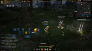 Black desert лучший билд на лучницу!