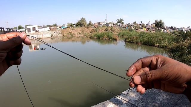 amazing.. patan and tilapia fish catching смотреть онлайн
