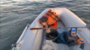 Сумашедшая раздача. Сом на Квок в Сентябре.