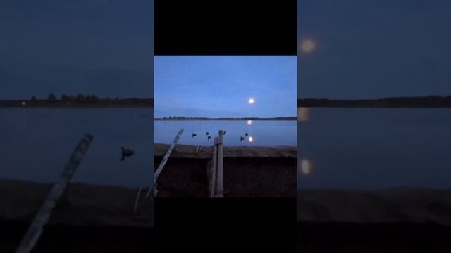 Архив охоты на турпана #ОхотавЯкутске #Андыныбултааьын #охотанауток