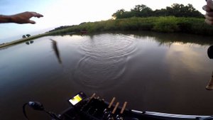 BFS Topwater Fishing Megabass Pop X Popper AliExpress Kuying Teton Rod Shimano Curado BFS XG