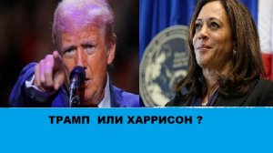 ТРАМП ИЛИ ХАРРИСОН? КТО БУДЕТ ПРЕЗИДЕНТОМ  США.