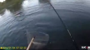 Охота на жереха на реке Мокша