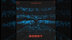 Alan Walker sorry