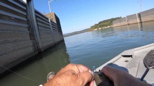 Fish on the Abu Garcia Diplomat Extreme