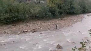 Король и Шут - Прыгну со скалы