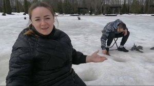 Ловля осетра зимой на платнике. Рыбалка в Прудцах.