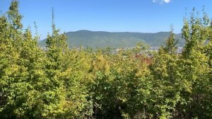 06-10-2024 путешествие к домику йога в Абрау сегодня