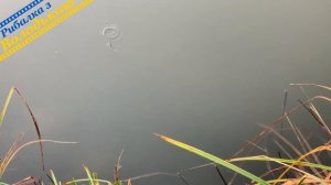 Воблер Duel Hardcore Minnow 50F! Огляд воблера Дуел Хардкор Мінноу! Воблери для ловлі щуки та окуня