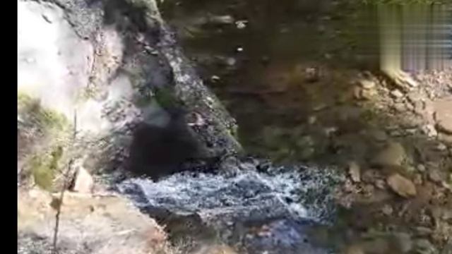 Казачья Светлана Абрамова. смотреть онлайн