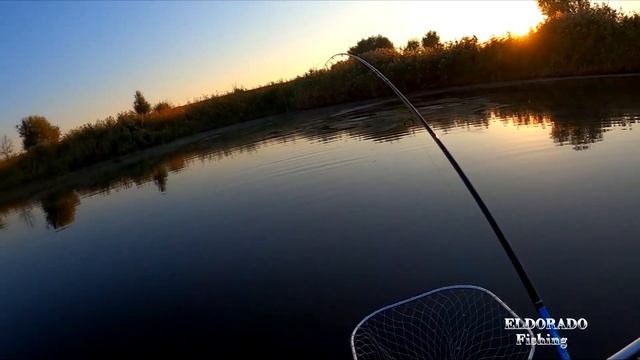 Рыба пойманная совместно с женой смотреть онлайн