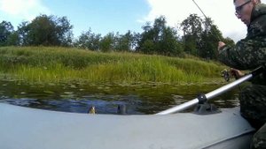 Клёвая рыбалка! Попер может💪 Язь,жерех,щуки и окуни!