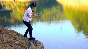 Kyorim Shuttle Travel Lure Fishing Rod TORAYCA Carbon, FUJI SIC Ring K Guide, 4 Sections