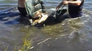 Отличный улов карпа в 2016 году