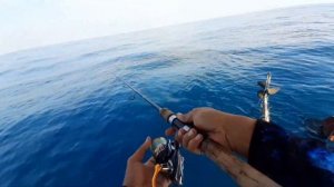 Reel spining smoot ringan kuat DAIWA REVROS LT 4000 CXH