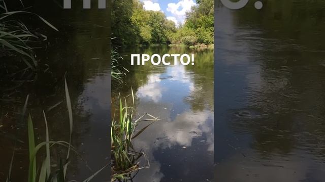 Всё просто! Слава Богу за всё!..☀️