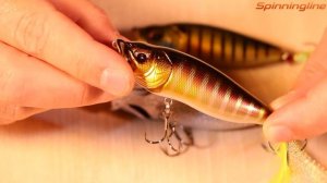 Воблер Megabass Pop Max