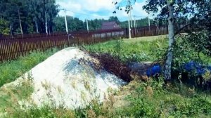 СНАЧАЛА В ЛЕС С ПРОВЕРКОЙ ПОТОМ НА УЧАСТОК А ТАМ СЮРПРИЗ