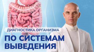 Диагностика организма по системам выведения. КИШЕЧНИК. ЧАСТЬ 7