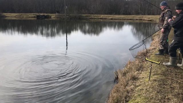 Вываживание осетра РК «Фишка» Петряиха смотреть онлайн