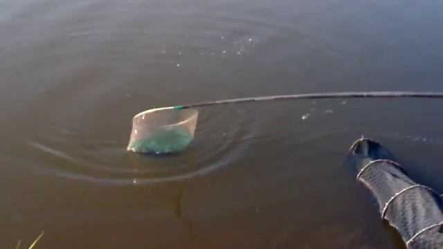 Штекер - карп 3,250 смотреть онлайн