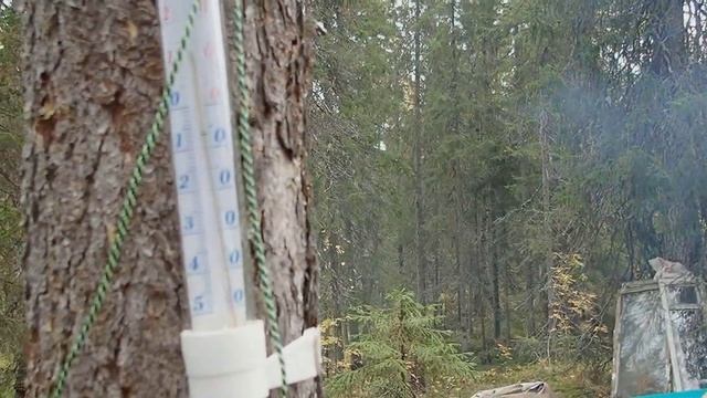 на избу с дочерью и друзьями смотреть онлайн