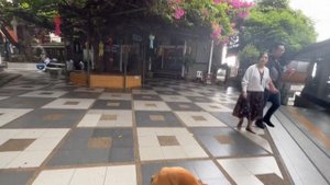 Из Паттайи в Чиангмай! Едем на север Таиланда🇹🇭