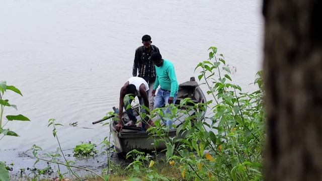 tiger attack man in the forest | tiger attack in jungle, royal bengal tiger attack смотреть онлайн