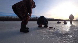 С семьёй за судаком на Дон