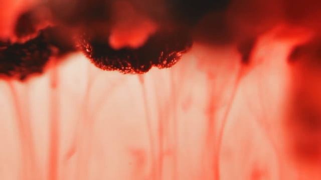 Чайник SMEG культовой серии 50style смотреть онлайн