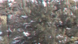 3D video анаглиф