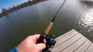 Shimano Nexave fishing spinning reel review