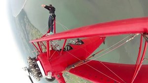 The Wing Walker