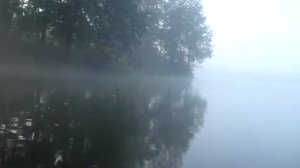 Ловля окуня на волкер Tsuribito Pencil