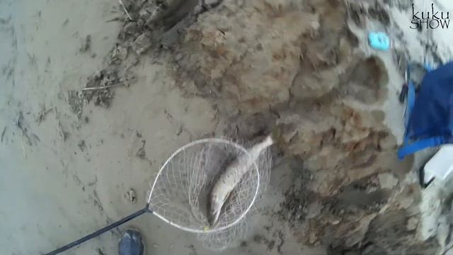 БЫСТРЫЙ СПИННИНГ ПЕРЕД РАБОТОЙ. Осень 2021.