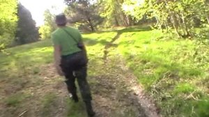 Липовы поляны