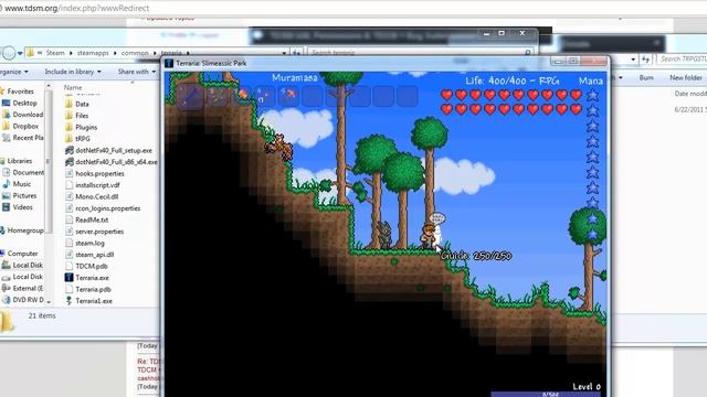 Terraria Mod - TRPG/TDCM - Released!