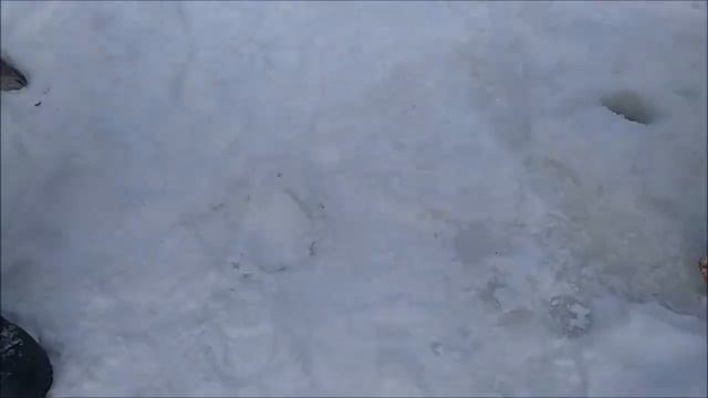 Поимка форели на раттлин. Спорт-зона. Клёвое место Лосиный остров.