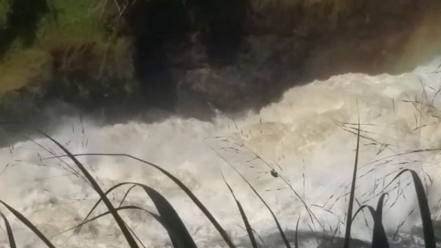 Murchison Falls смотреть онлайн