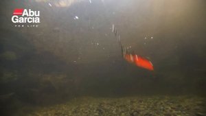 Abu Garcia Svartzonker Singö swimming action