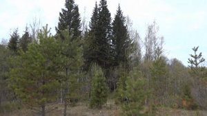 база бжрк красноярск кача поездка 4